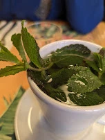 Fresh Mint Tea